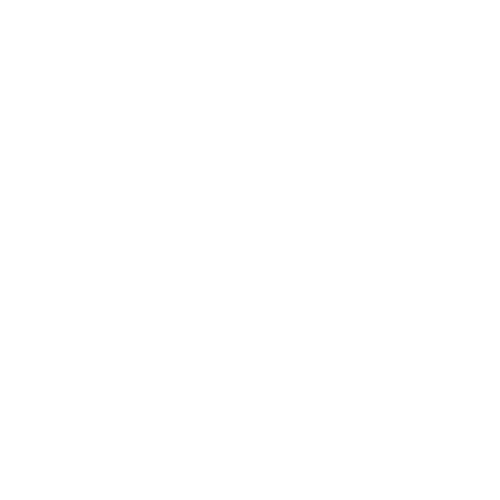 seletex-x-logo-white-transparent